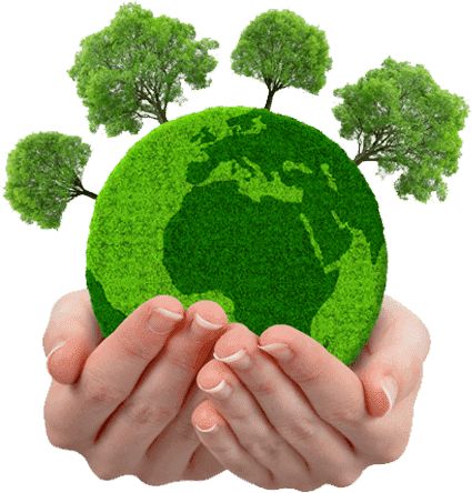 How Green Initiatives Can Benefit Your Business 