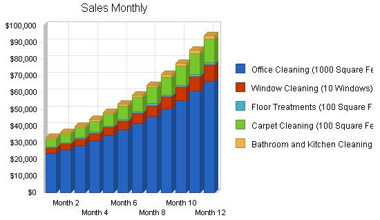 Janitorial Services Business Plan Example 