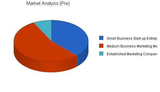 Marketing Consulting Business Plan Example 