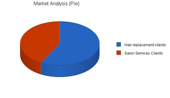 Hair Replacement and Salon Business Plan Example 