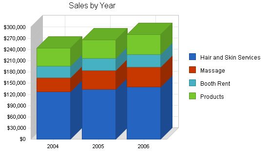 Hair Replacement and Salon Business Plan Example 