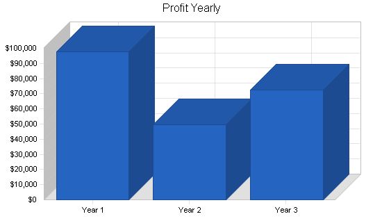 UK High Tech Consulting Business Plan Example 