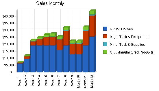 Horse Reseller Business Plan Example 