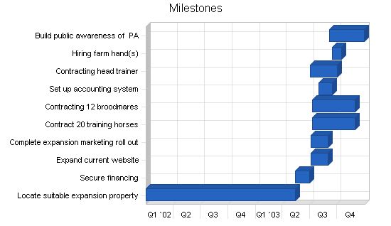 Horse Training Business Plan Example 