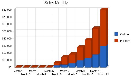 Music Recording Distribution Business Plan Example 