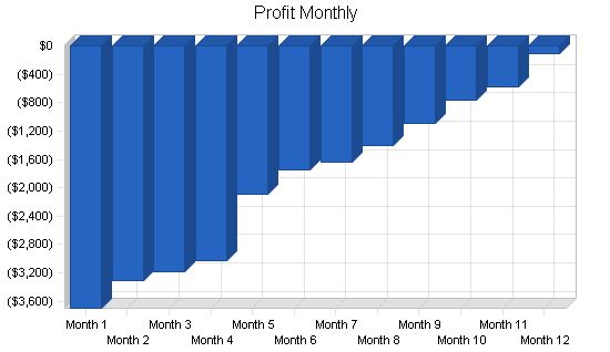 MLM Water Filter Business Plan Example 