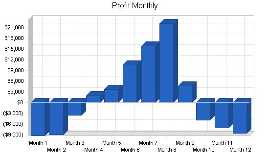 Mortgage Broker Business Plan Example 