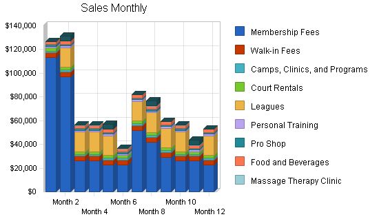 Multi Sport Complex Business Plan Example 