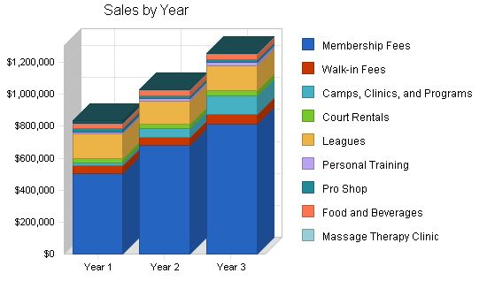 Multi Sport Complex Business Plan Example 