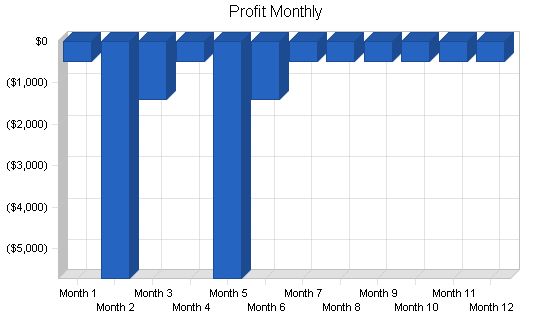 Music Recording Producer Business Plan Example 