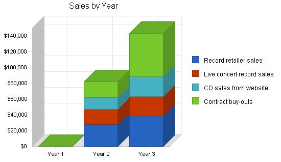 Music Recording Producer Business Plan Example 