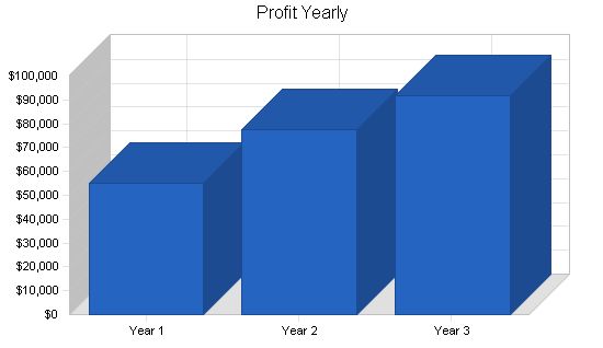 Music Retail Business Plan Example 