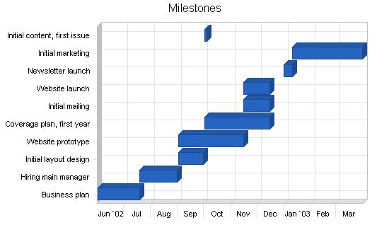 Newsletter Publishing Business Plan Example 