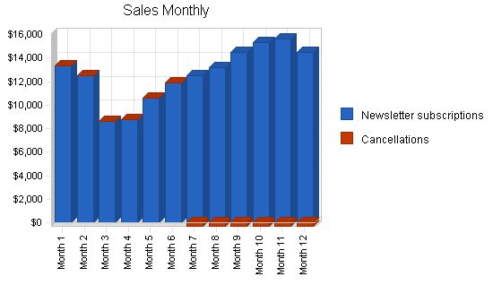 Newsletter Publishing Business Plan Example 