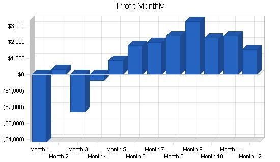 Newsletter Publishing Business Plan Example 