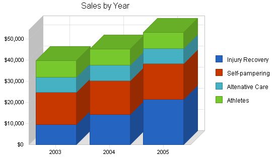 Physical Therapy Massage Business Plan Example 