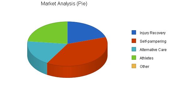 Physical Therapy Massage Business Plan Example 