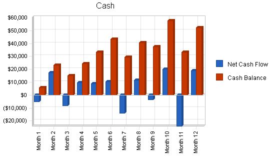 Software Sales Business Plan Example 