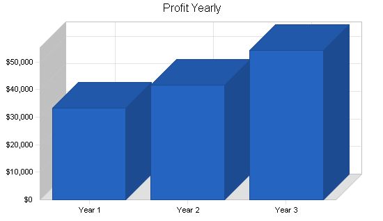 Software Sales Business Plan Example 