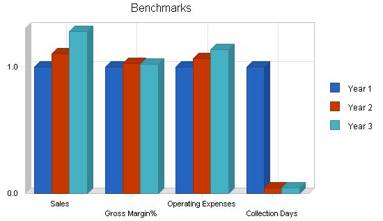 Software Sales Business Plan Example 