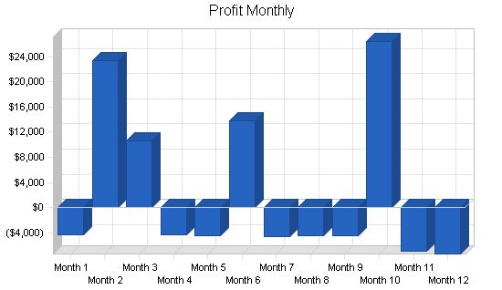 Software Sales Business Plan Example 