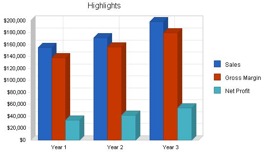 Software Sales Business Plan Example 