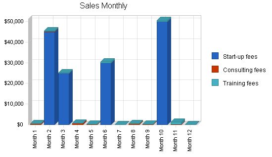 Software Sales Business Plan Example 