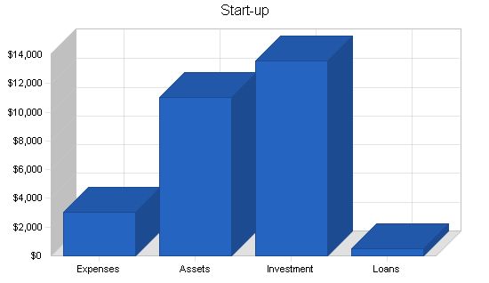 Software Sales Business Plan Example 