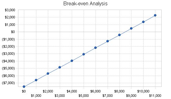 Software Sales Business Plan Example 