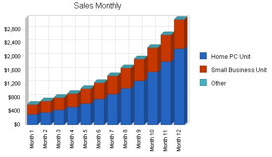 SOHO Computer Consulting Business Plan Example 