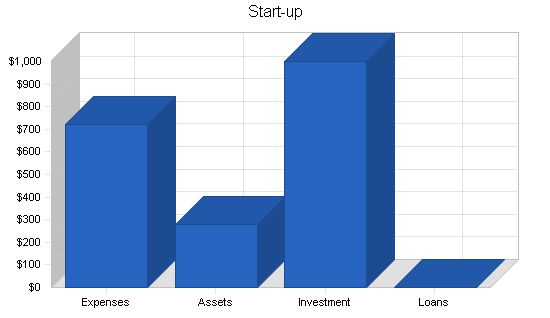 SOHO Computer Consulting Business Plan Example 