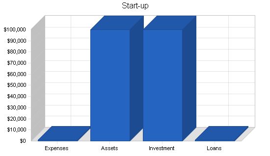 Travel Agency Upscale Business Plan Example 