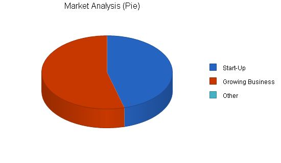 Office Consulting Business Plan Example 