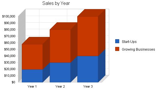 Office Consulting Business Plan Example 