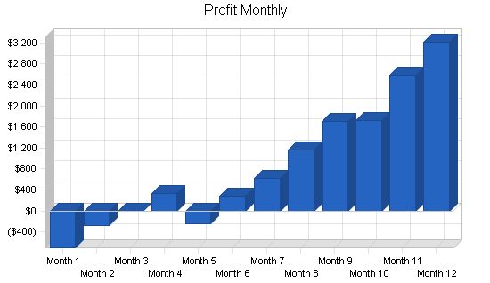 Office Consulting Business Plan Example 