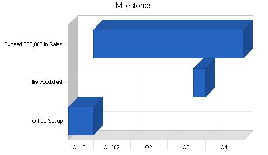 Office Consulting Business Plan Example 