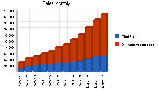 Office Consulting Business Plan Example 