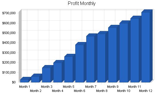 Real Estate Website Business Plan Example 