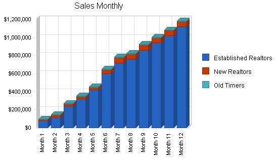 Real Estate Website Business Plan Example 