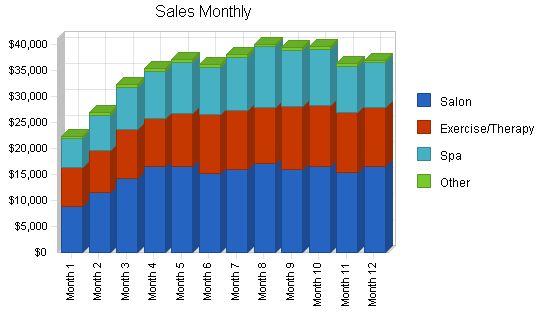 Spa Health Club Business Plan Example 