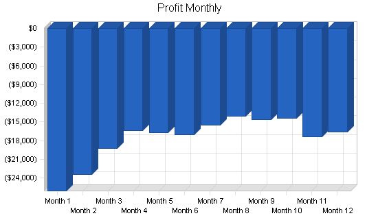 Spa Health Club Business Plan Example 