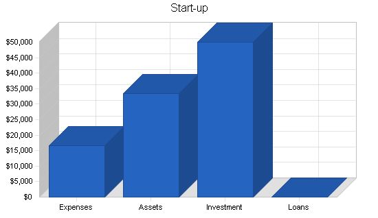 Wireless DataComm Business Plan Example 