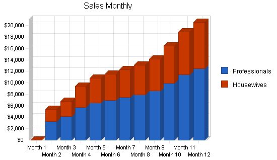 Women s Shoe Store Business Plan Example 