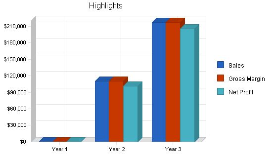 Regional Airline Business Plan Example 