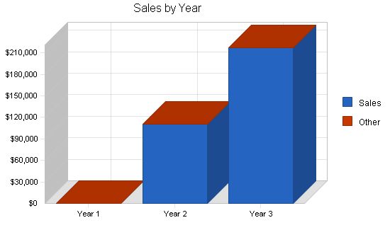 Regional Airline Business Plan Example 