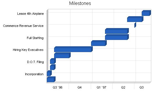 Regional Airline Business Plan Example 