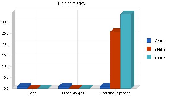 Regional Airline Business Plan Example 