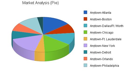 Regional Airline Business Plan Example 