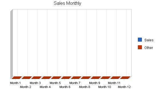 Regional Airline Business Plan Example 