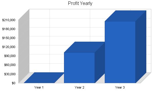 Regional Airline Business Plan Example 